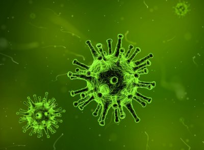 Monitorar as mutações do vírus da gripe envolve esforço internacional