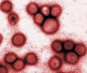 Monitorar as mutações do vírus da gripe envolve esforço internacional