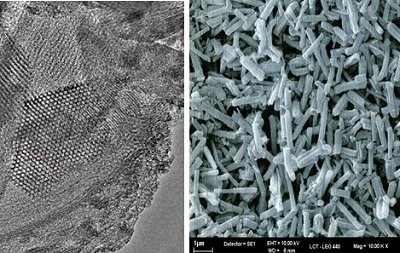 Nanotecnologia transforma vacina injetvel em oral