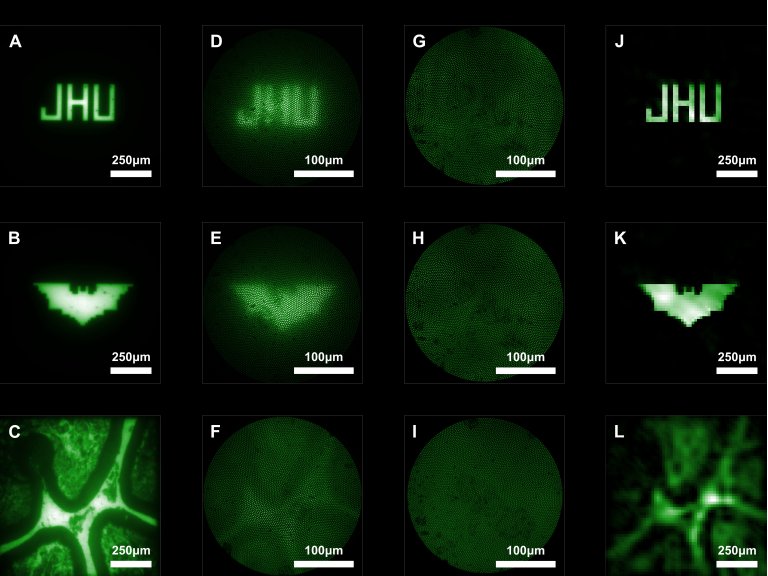 Endoscpio ultraminiaturizado gera imagens de qualidade indita