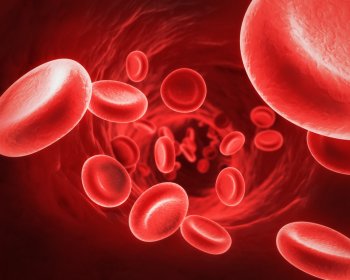 Sangue para transfuso pode no ser to puro quanto se pensa