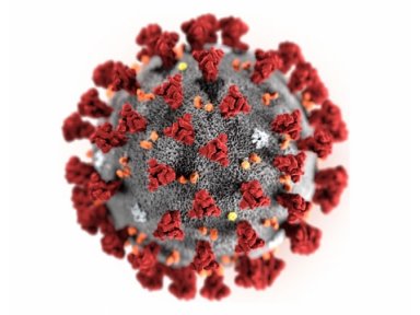 Coronavírus pode ser menos letal, mas vírus de animais preocupam