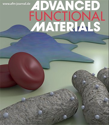 Nanopartcula aumenta em at 10 vezes eficincia de antibitico