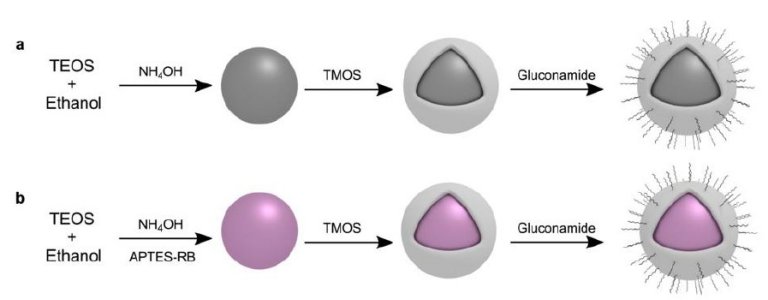 Nanopartcula aumenta em at 10 vezes eficincia de antibitico