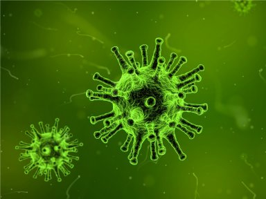 Primeira gripe determina capacidade de reação pelo resto da vida