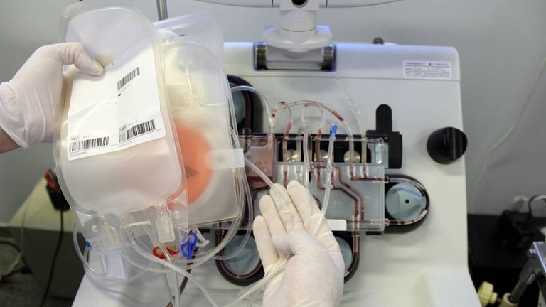 Butantan vai desenvolver anticorpos para tratamento da covid-19