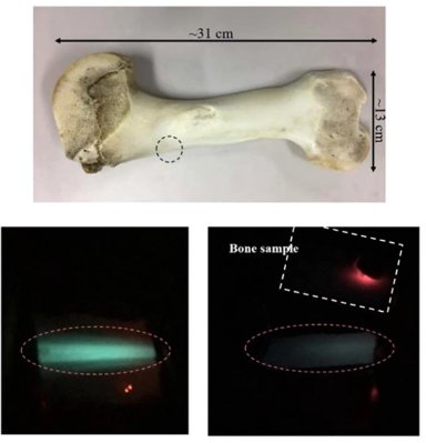 Temperatura de rgos internos  medida com luz