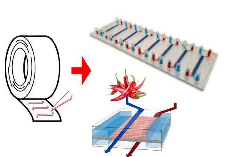 Órgão em um chip de última geração é fabricado com fita adesiva comum