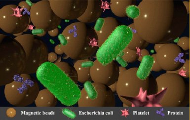 Microlaboratório detecta superbactérias em fluidos humanos