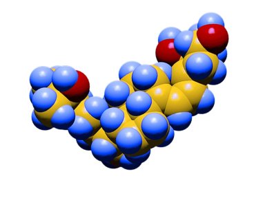 Vitamina D: Por que suplementos em altas doses podem ser perigosos