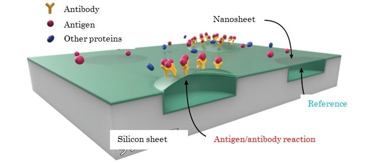 Biochip detecta patgeno no meio de 1 quatrilho de molculas