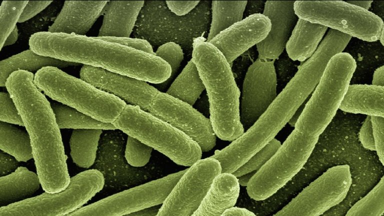 Rumo a um antibiótico que mata bactérias más e preserva as benéficas
