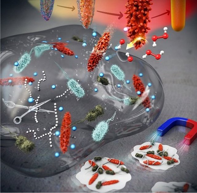 Nanocristais derrotam os perigosos biofilmes de bactérias
