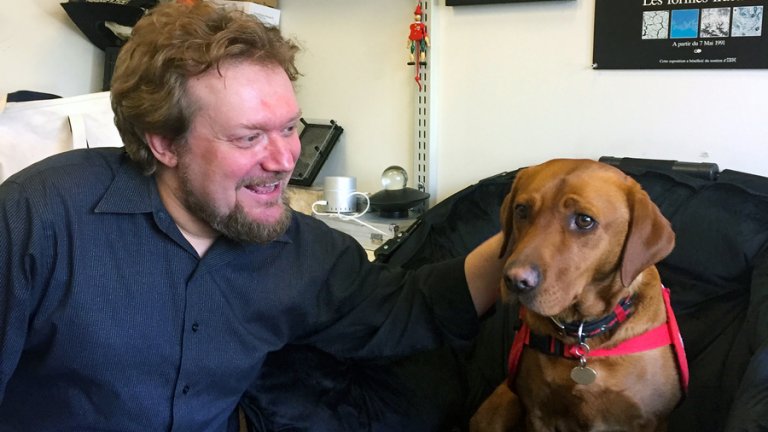 Sensor com inteligência artificial bate olfato de cães para detectar doenças