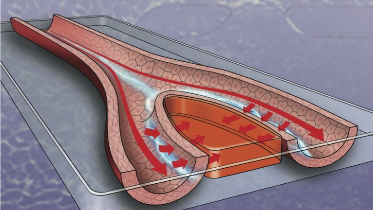 Eletricidade pode ajudar a acelerar a cicatrização de feridas