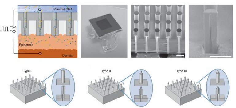 Nanochip pode reprogramar tecido biológico