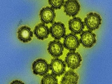 H3N2 Darwin: Cepa do vírus influenza causa gripe fora de época no país