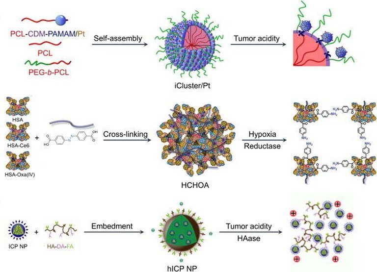 Nanopartículas que se transformam avançam diagnóstico e tratamento do câncer