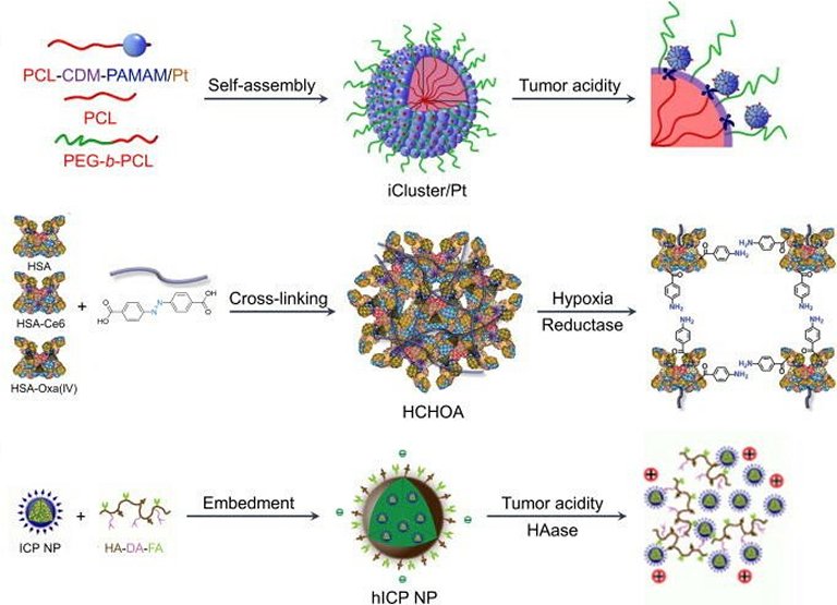 Nanopartculas que se transformam avanam diagnstico e tratamento do cncer