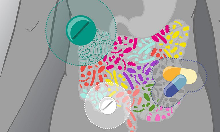 Impacto das remdios sobre os micrbios intestinais  maior do que pensvamos