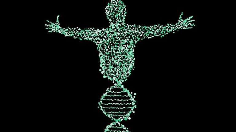 Direção do seu DNA pode ser tão importante quanto de onde ele veio