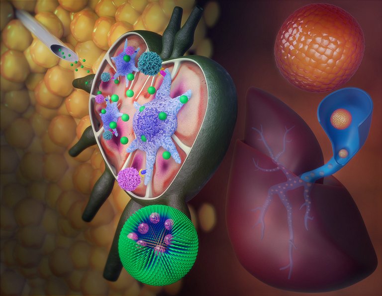 Nanoterapia oferece nova esperana de tratamento definitivo do diabetes