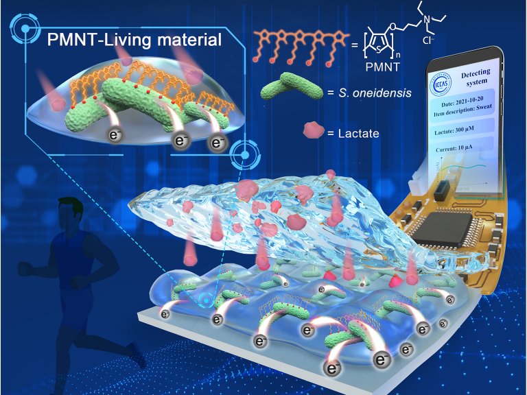 Material vivo gera bioeletrnica para monitoramento da sade e do cncer