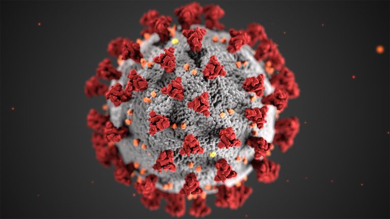 Pesquisadores encontram e corrigem falha nos modelos de previso de pandemia