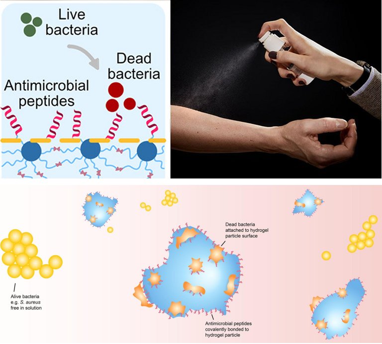 Multifunctional Surface Modification of PDMS for Antibacterial Contact  Killing and Drug-Delivery of Polar, Nonpolar, and Amphiphilic Drugs