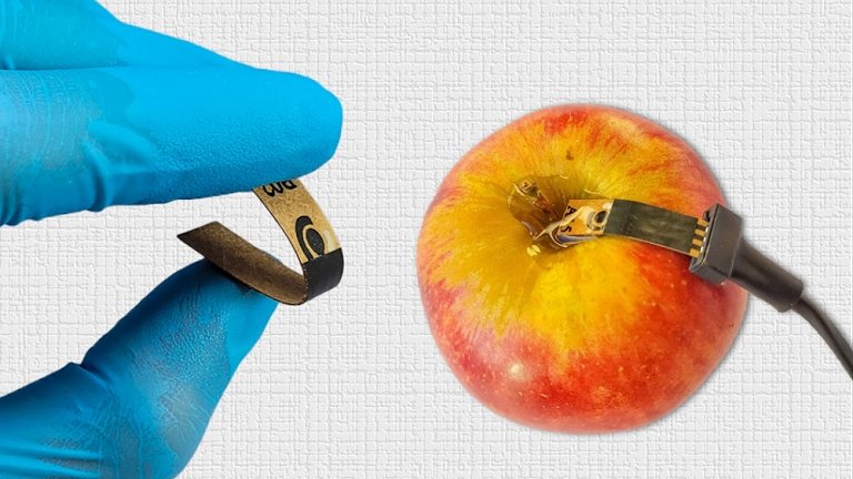 Sensor de papel detecta agrotxico em alimentos na hora