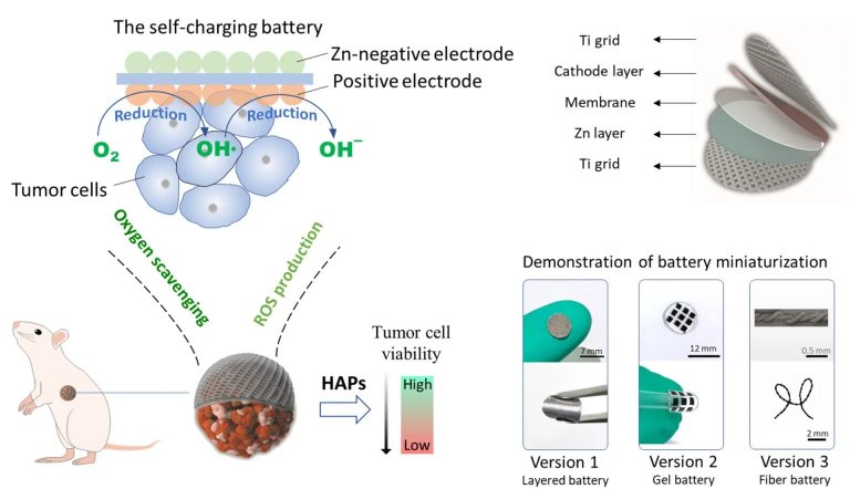 Bateria autorecarregvel destri tumores sem efeitos colaterais