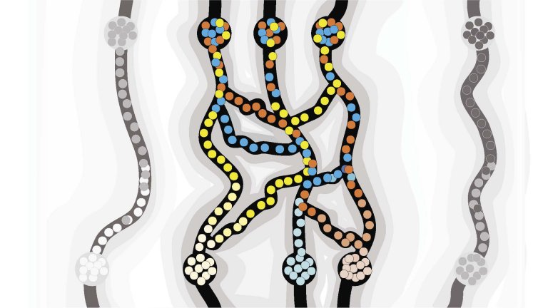 O poder das interações sociais na evolução bacteriana
