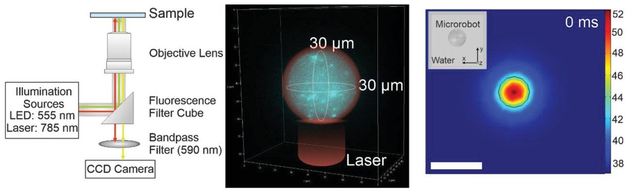 Primeiro microrob do mundo que navega entre as clulas individuais