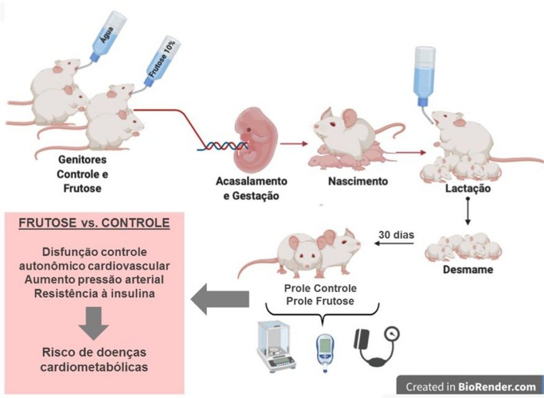 Alto consumo de frutose pelos pais eleva risco de doenas cardiometablicas nos filhos