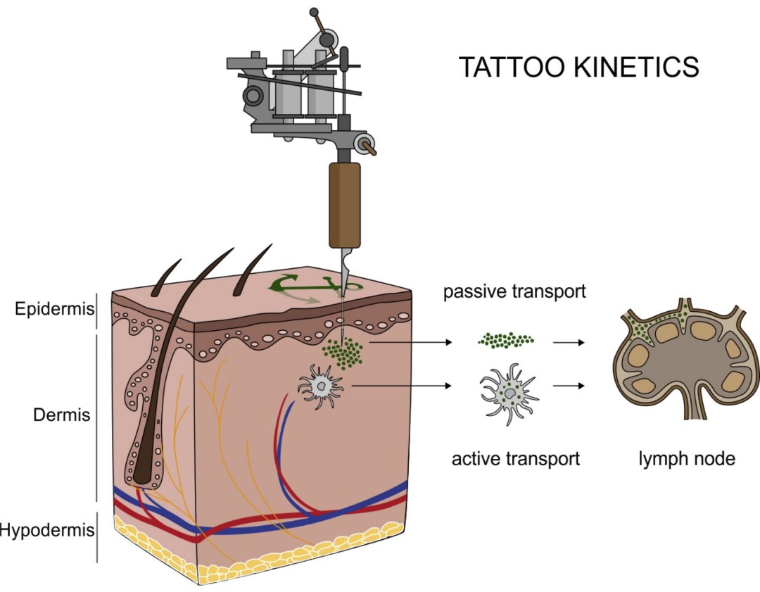 Tintas de tatuagem cont�m ingredientes n�o listados no r�tulo