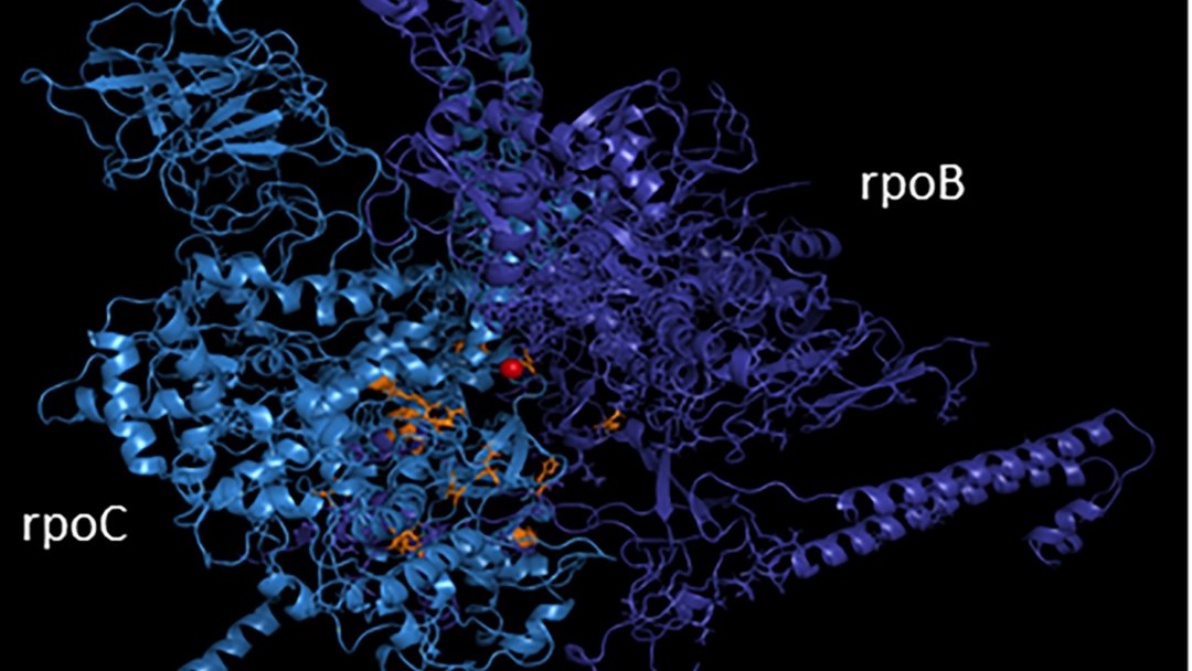 Origem da vida: Evoluo pode ter comeado em um Mundo de RNA