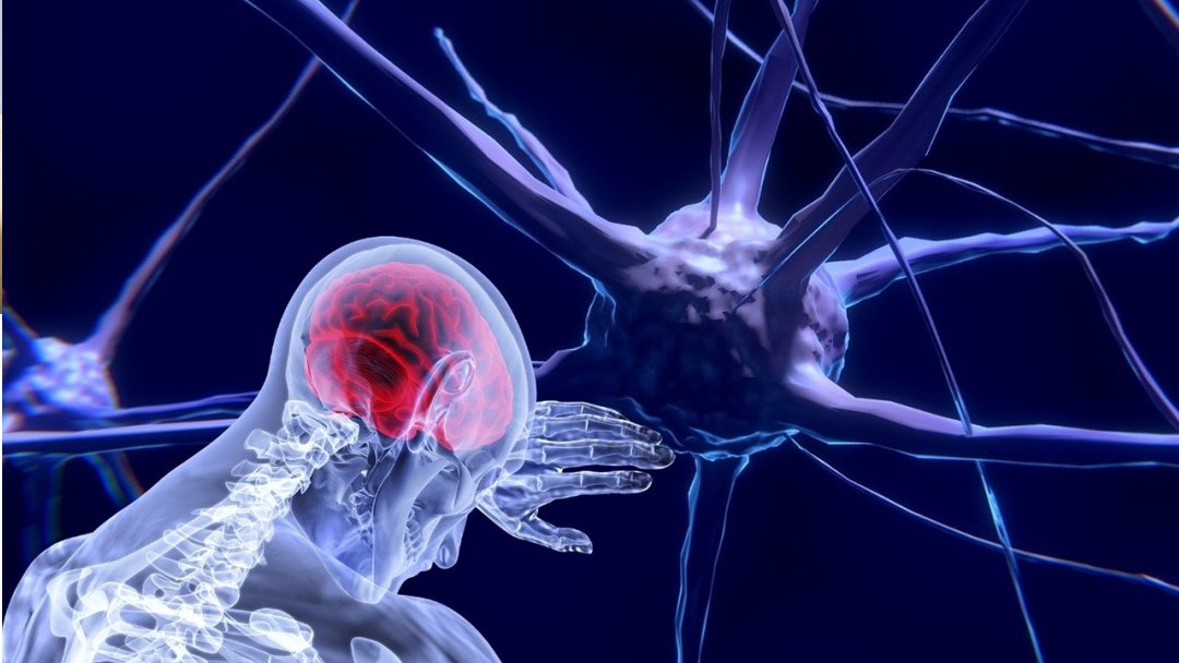 Neurnios ajudam a eliminar resduos do crebro durante o sono