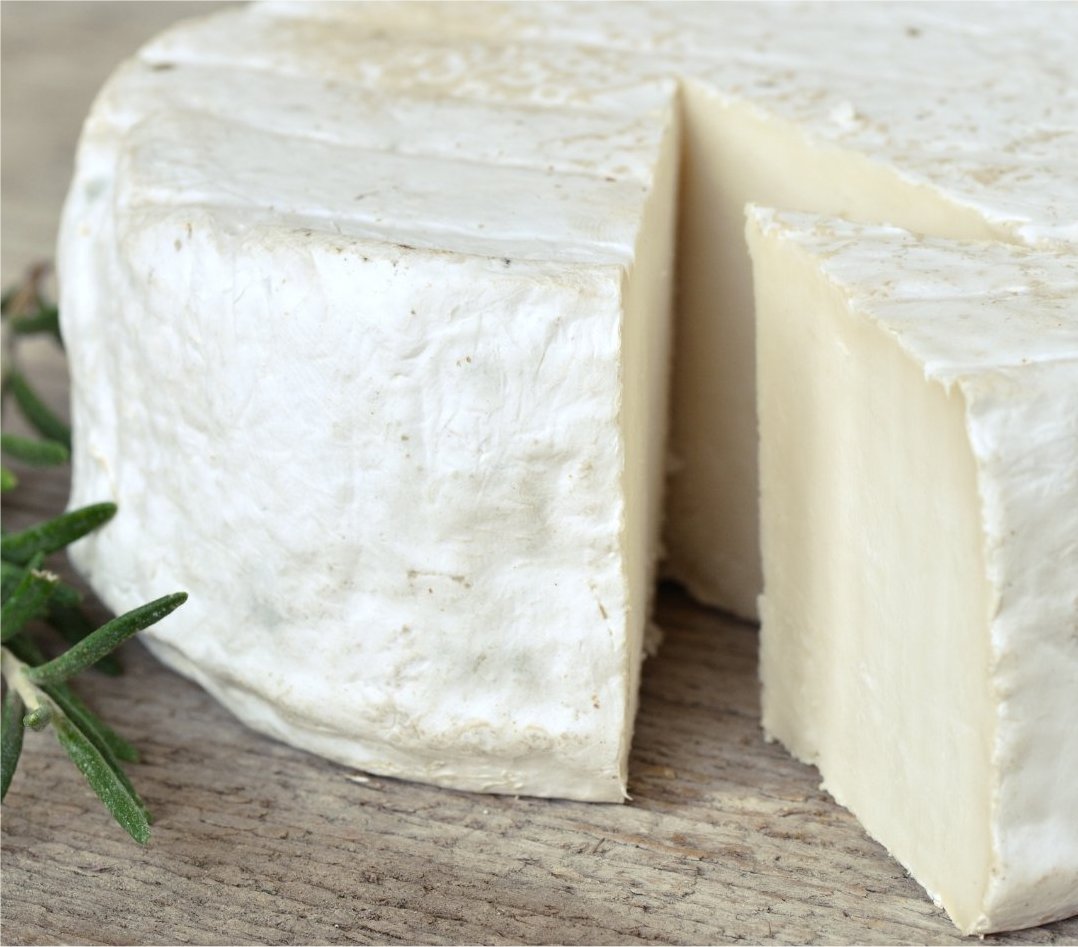Bactérias do queijo de cabra têm forte potencial probiótico