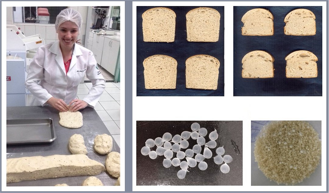 Pão especial torna-se aliado na prevenção da asma