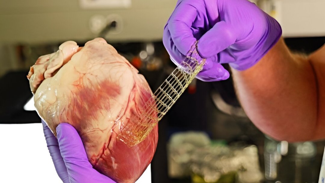 Um curativo para o corao? Novo mtodo de impresso 3D faz isso e muito mais