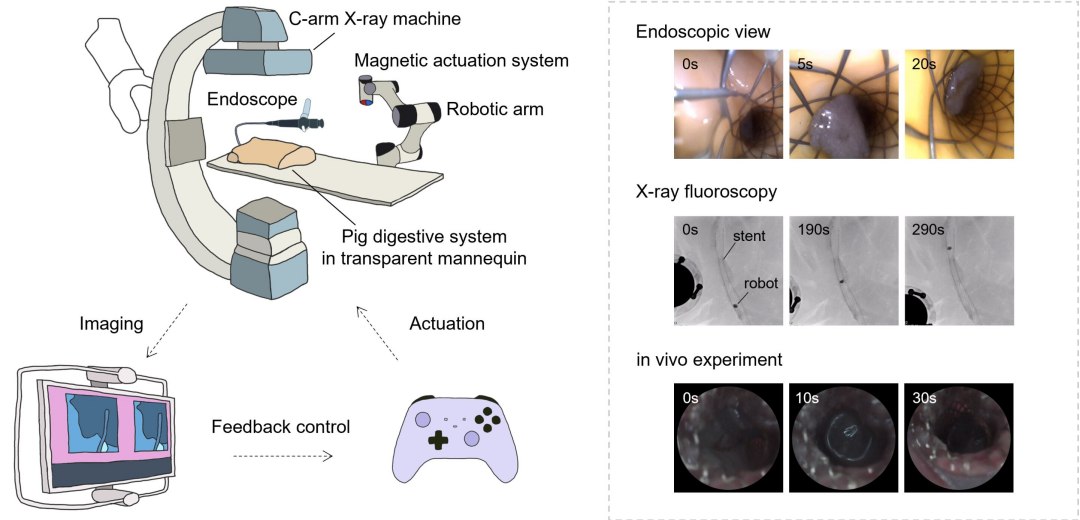 Robô de corpo líquido elimina infecções de bactérias em implantes