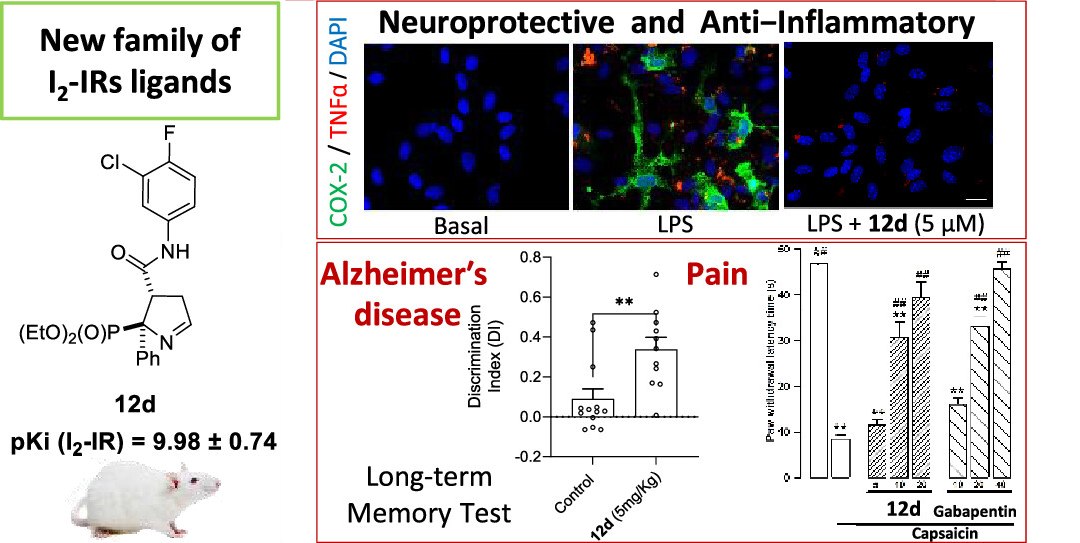 Descoberto frmaco com novo mecanismo de ao contra Alzheimer, Parkinson e dor