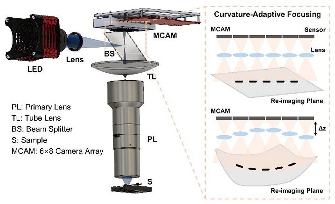 Novo microscpio fotografa amostras curvas instantaneamente