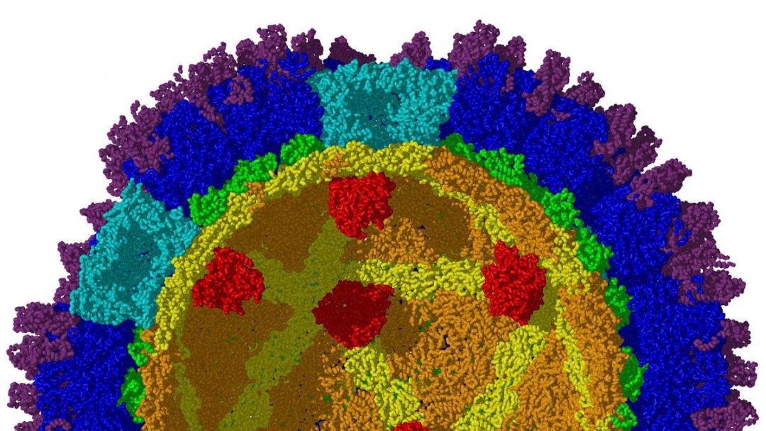 Cientistas dizem que o glúten pode não ser o problema, afinal