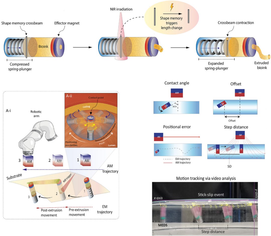 Impressora de engolir usa biotinta para reparar feridas internas