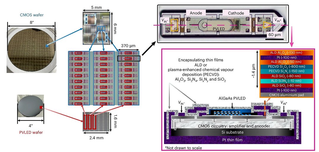 Implante neural menor que um gro de sal monitora o crebro sem fio