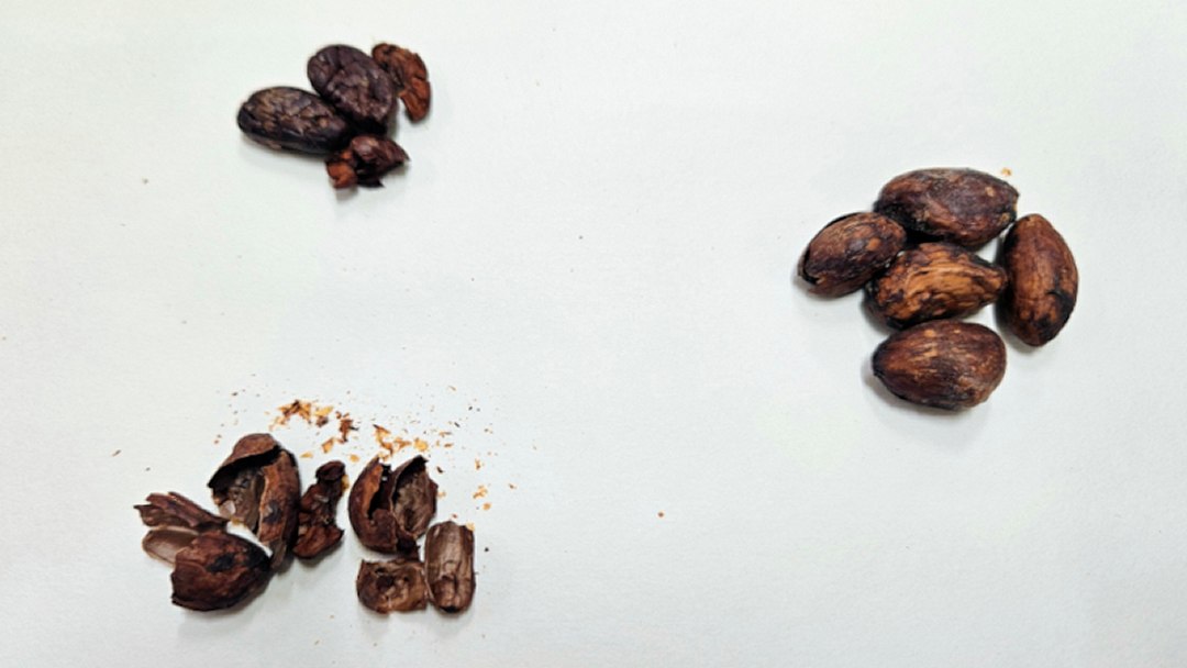 Mel sabor chocolate incorpora compostos bioativos da amêndoa de cacau