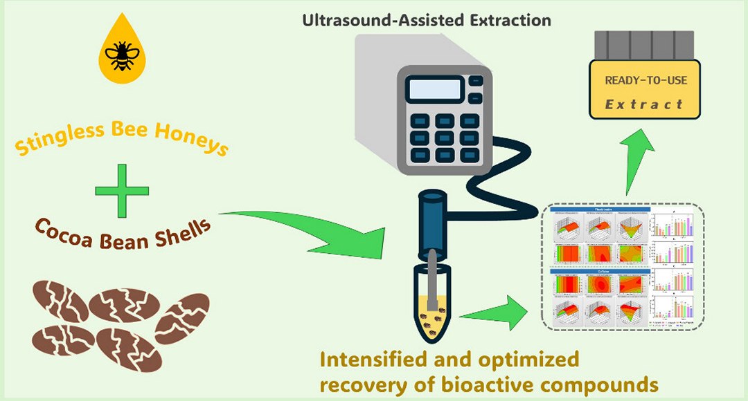 Mel sabor chocolate incorpora compostos bioativos da amêndoa de cacau