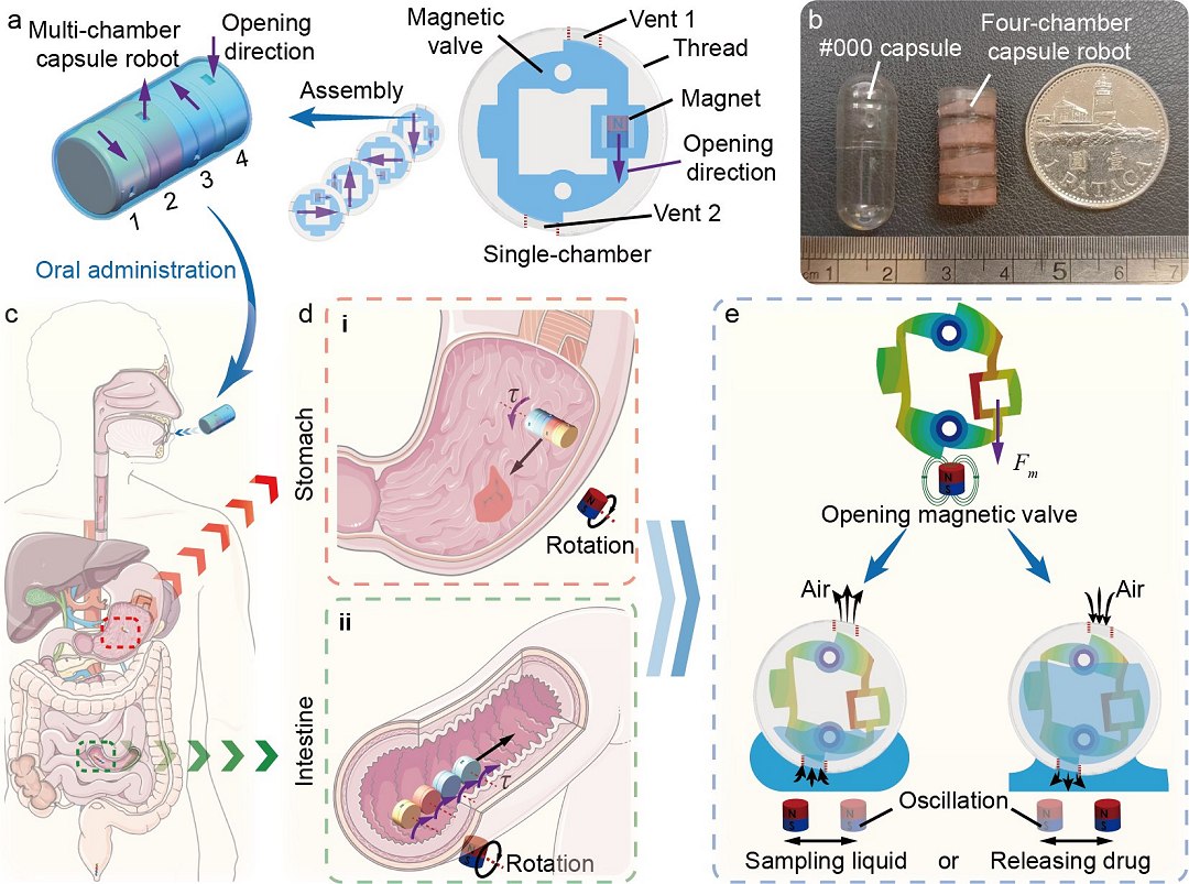Rob de engolir revoluciona exames e tratamentos gastrointestinais