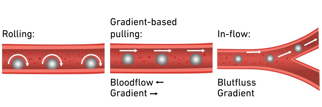 Microrrob�s levar�o medicamentos s� onde s�o necess�rios, evitando efeitos colaterais